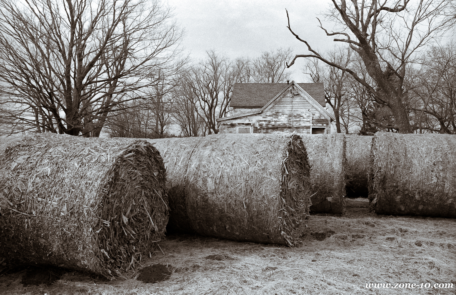 Bales and House