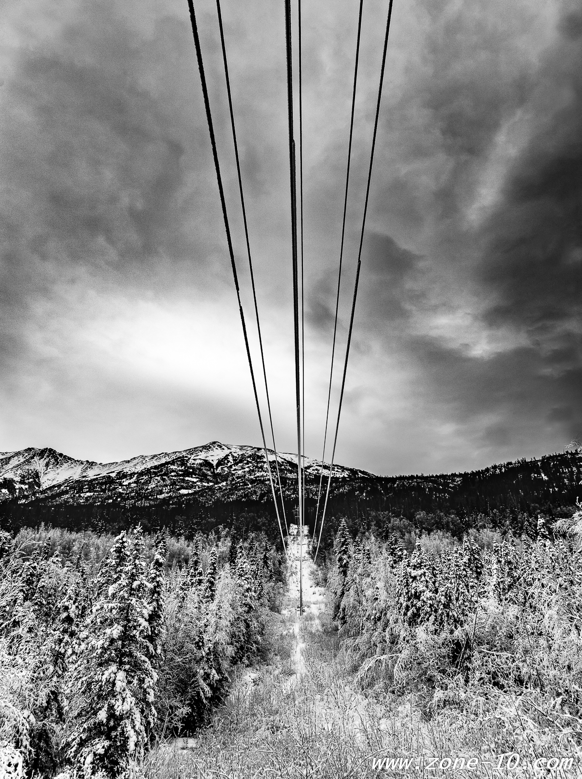 Power Lines