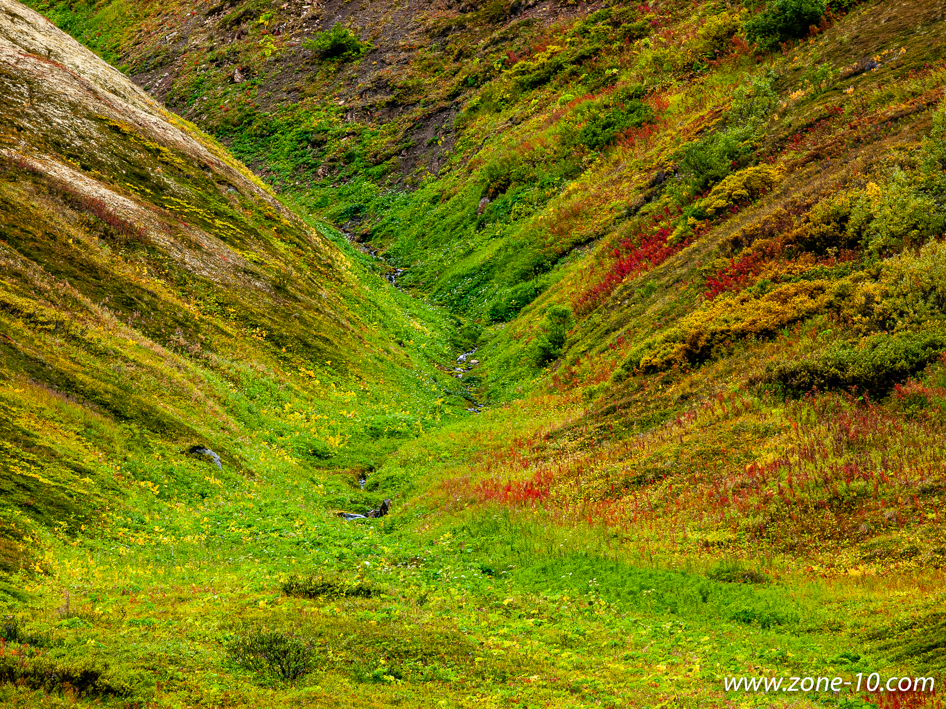 Mountain Ravine