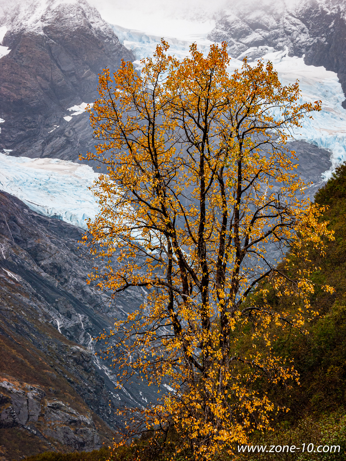 Byron Glacier