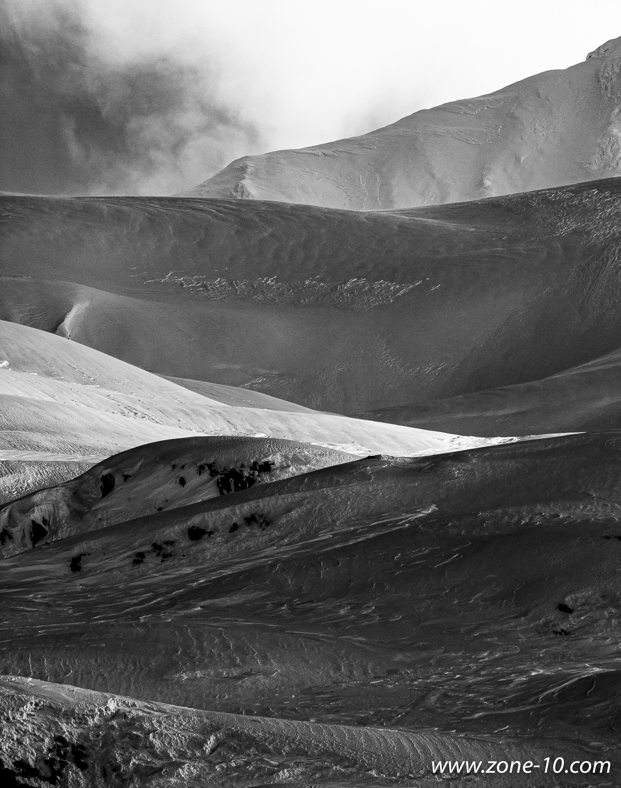 Snowscape in Grayscale