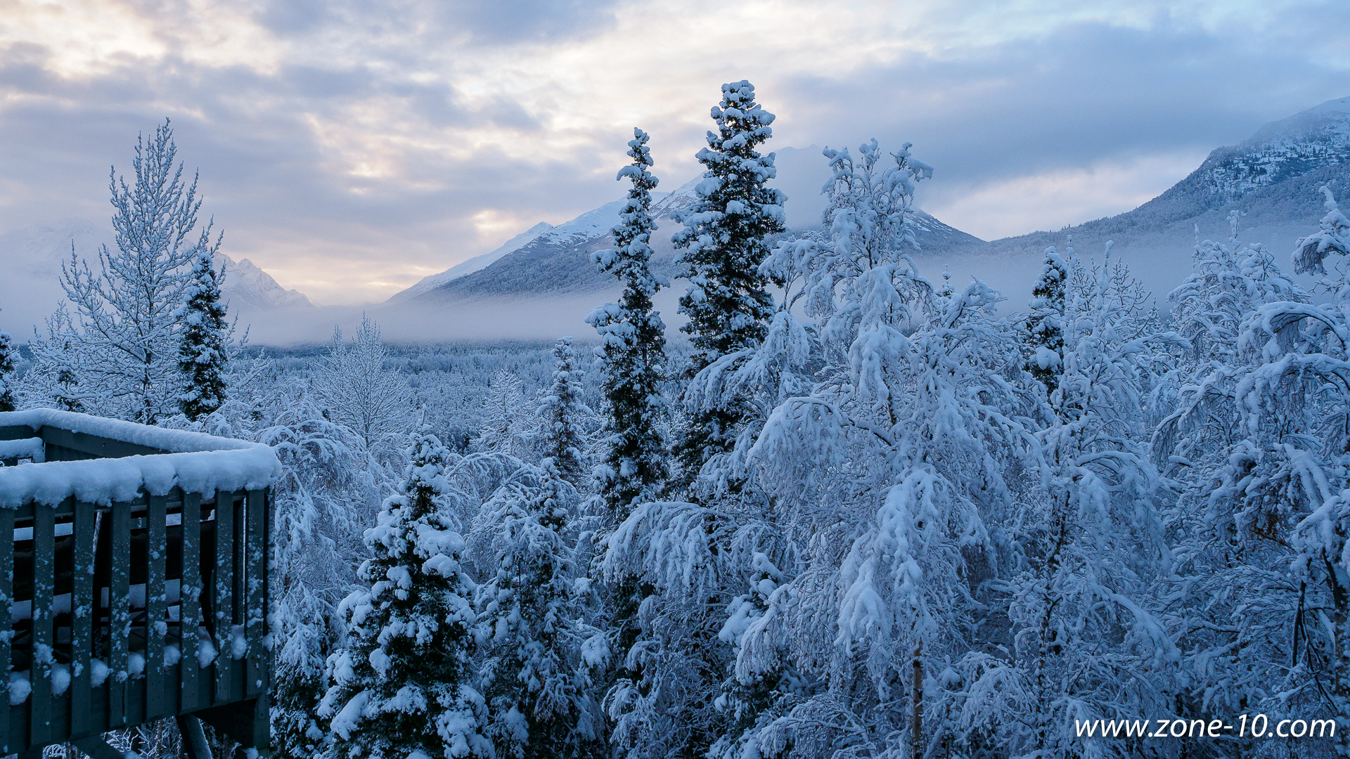 Fresh Snow at Sunrise