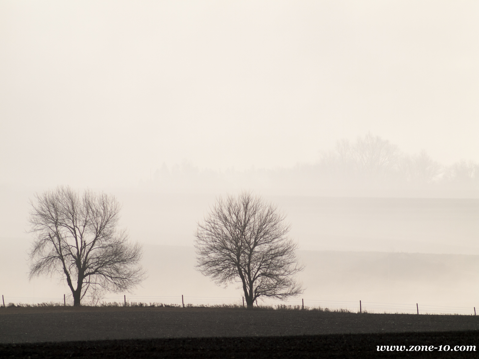 Morning Monochrome