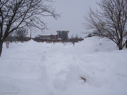 Valparaiso University, Winter 2014