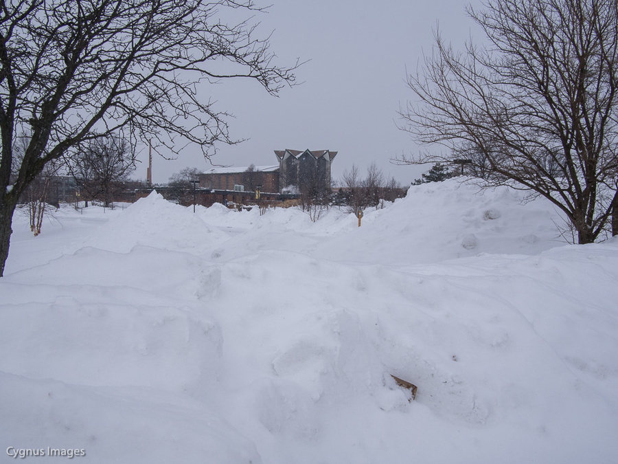 Valparaiso University, Winter 2014