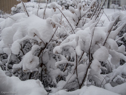 OK, Enough With The Snow
