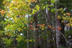 In and around Keweenaw Peninsula, Michigan