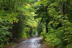 backroad1