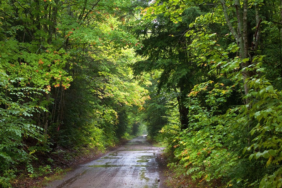 backroad1