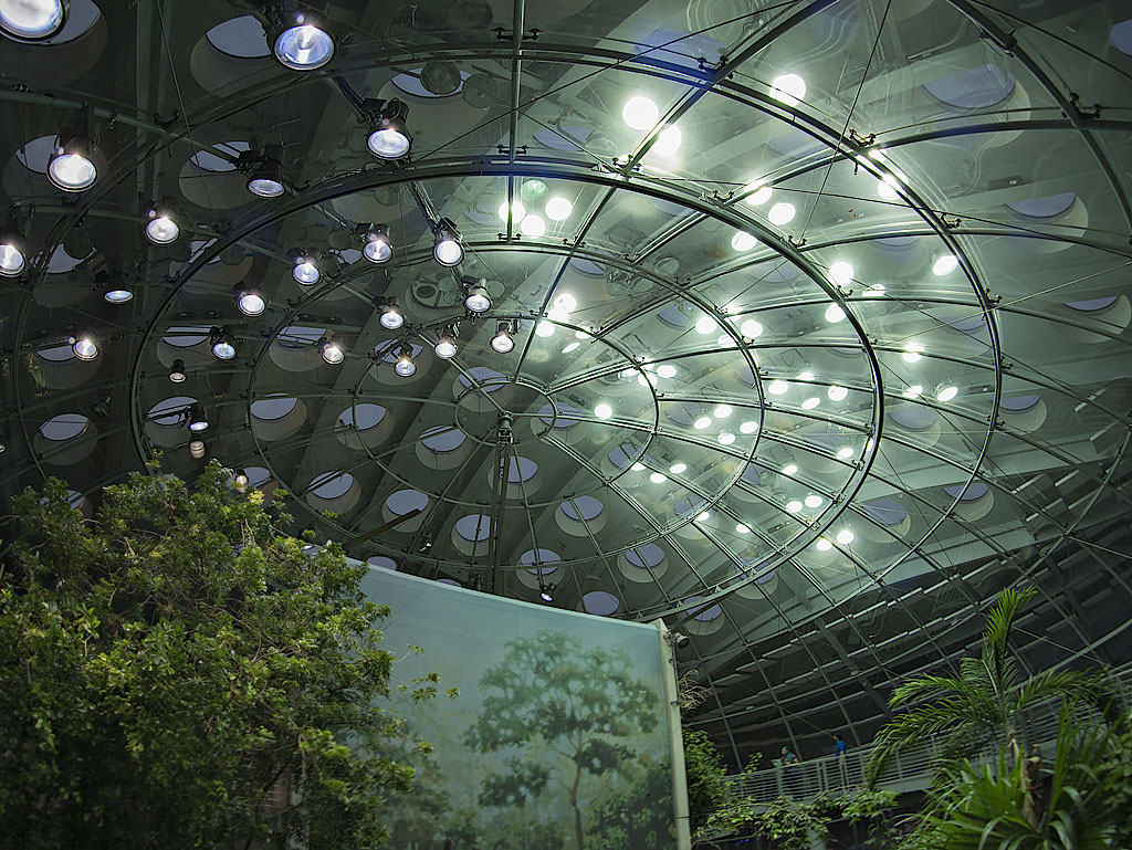 Circular View