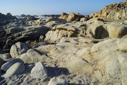 DSC00518