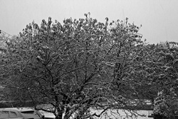 Hudson, MA, 10-29-2011, 5:37 pm