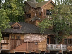 Alnwick Tree House