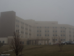 Porter In The Mist