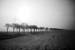 -IMG_3134