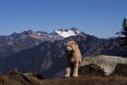 Green Mountain Lookout