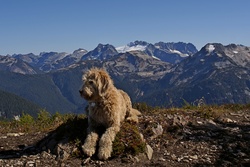 Hannegan Peak