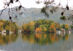 Fall Colors
