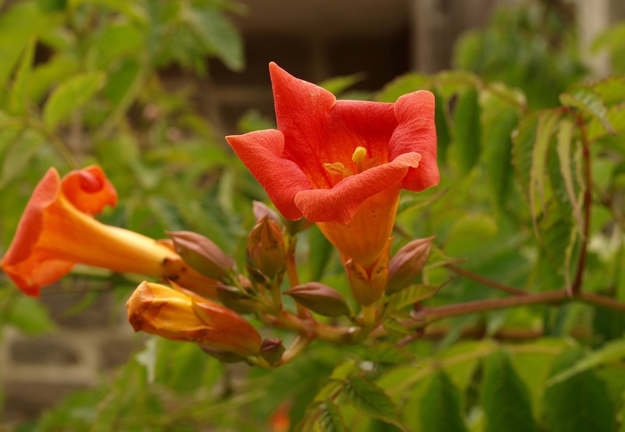 P1120358_cr-2000