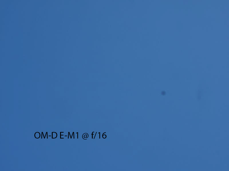 P6020989-f16