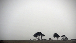 California