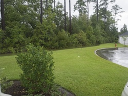 Tropical Storm Hermene