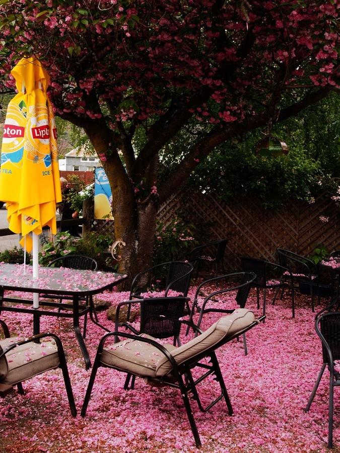 PA244004-cafe1-1200