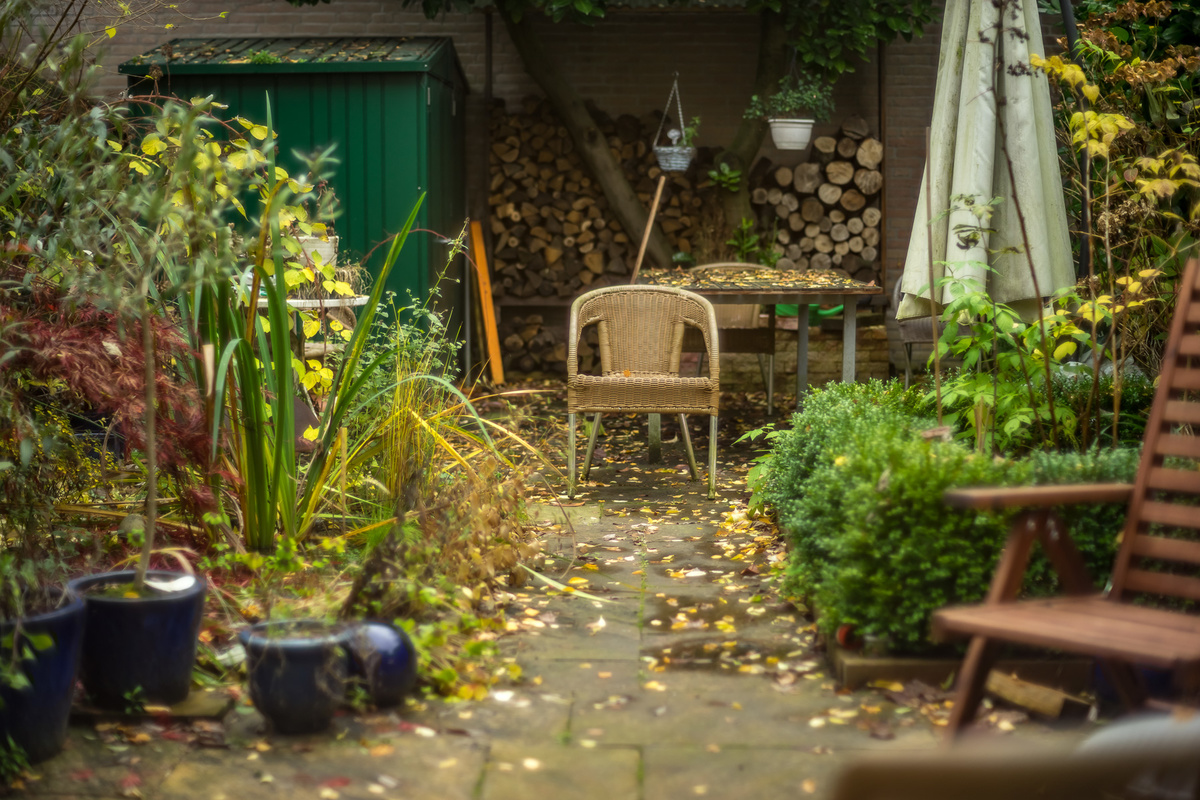 20161117-_DSC6743