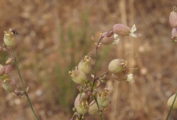 PC144626_cr