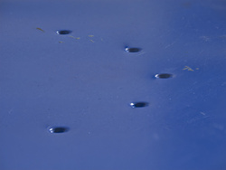 _1000734-38oofm