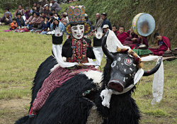 Brokpa Festival