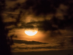 Early Morning Moon