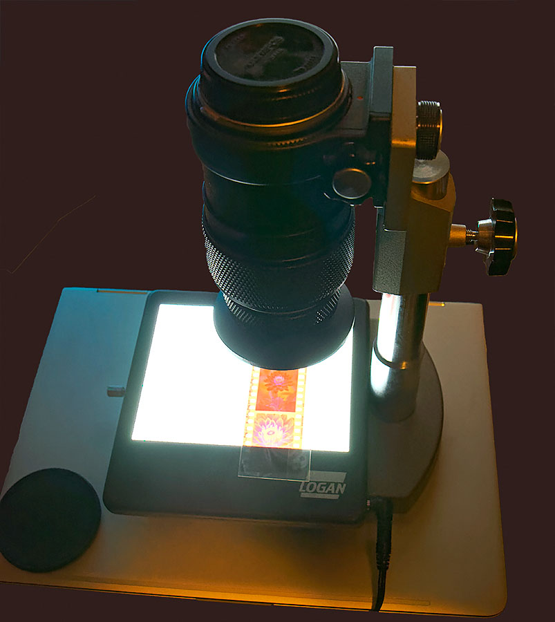 21st. Century Transillumination