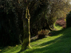 Ireland