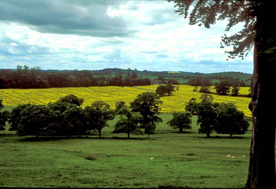 4 - GeeBee country at last.jpg