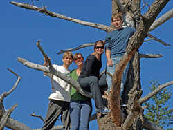 kids-in-a-tree