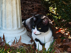 Bird Watching