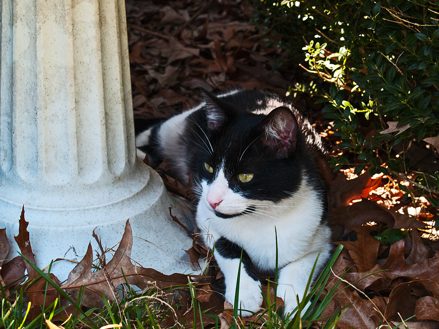 Bird Watching