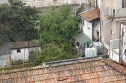 Oporto 2013 003