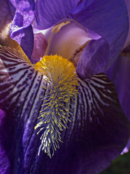 _4210042oofm