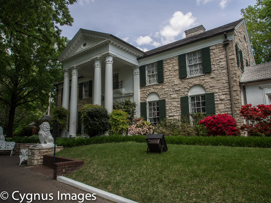 We Had Reason To Believe That We Would Be Received in Graceland