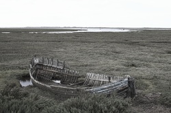 Dry Skeleton