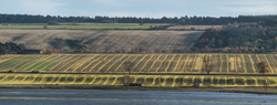 Poyntzfield_Panorama1.jpg