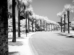 IR Street